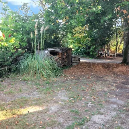 Chalet A Avec Jardin Et Terrasse Sanguinet