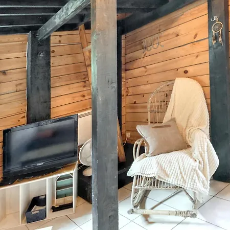 A Avec Jardin Et Terrasse Chalet